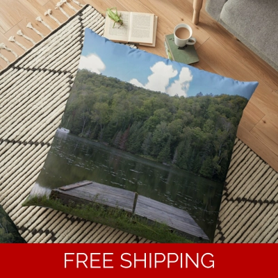 Floor Pillow Case Le Studio Lake Perry 2020 Docks